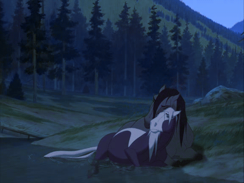 Фото Момент из мультфильма Спирит, Душа Прерий / Spirit, Stallion of the Cimarron, когда Спирит и Гроза лежат на берегу реки