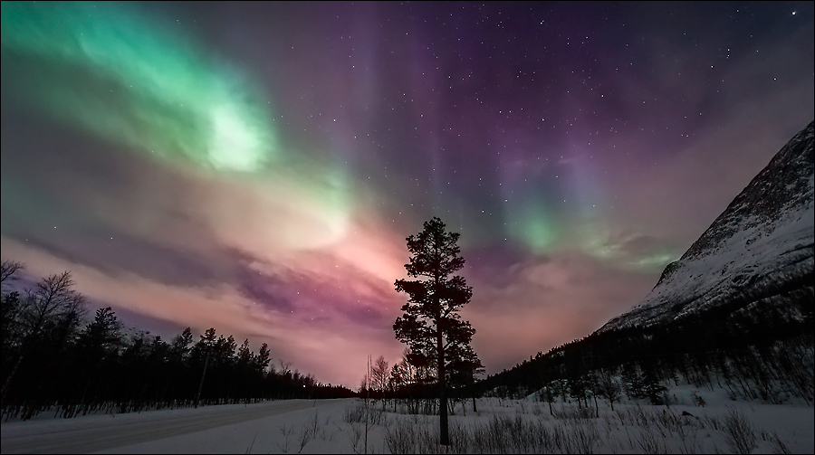 Фото Северное сияние над заснеженными горами и лесом