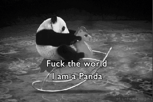 Фото Панда качается на паласе на игрушечной лошадке (Fuck the world. I am a Panda / К черту этот мир я панда)