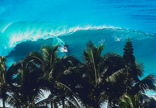 Фото Серфер на морской волне впереди пальмы