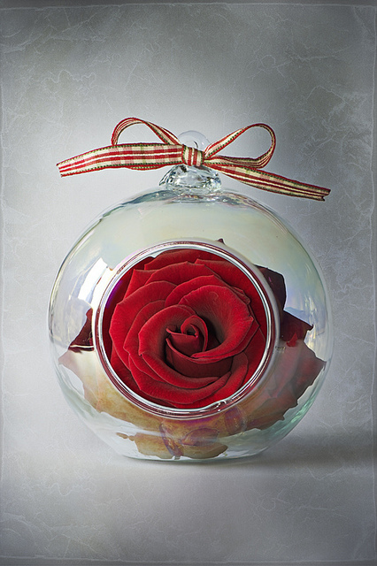 Фото Цветок в стеклянной круглой вазе