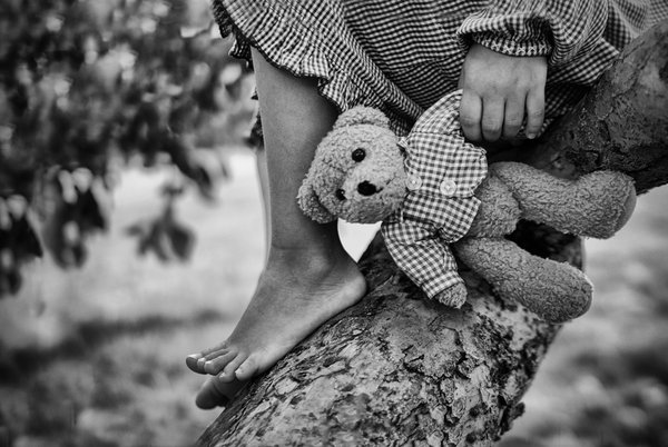 Фото Девочка, сидящая на бревне, держит в руке игрушечного медведя