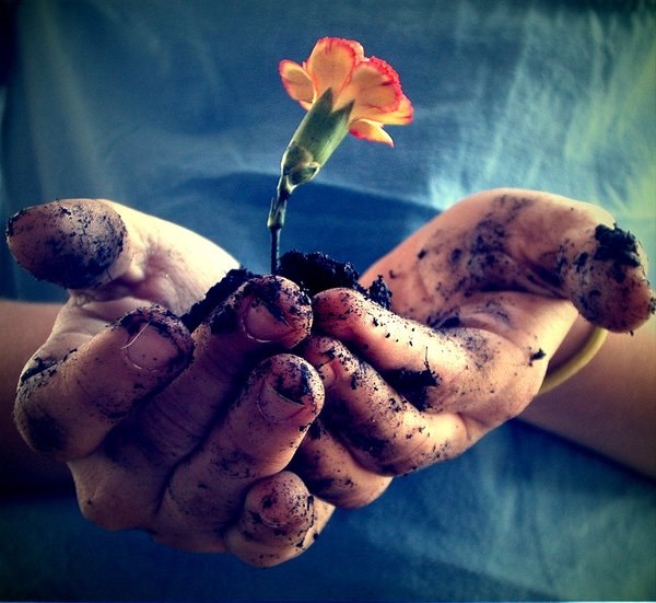 Фото Маленький цветок с грязью в руках