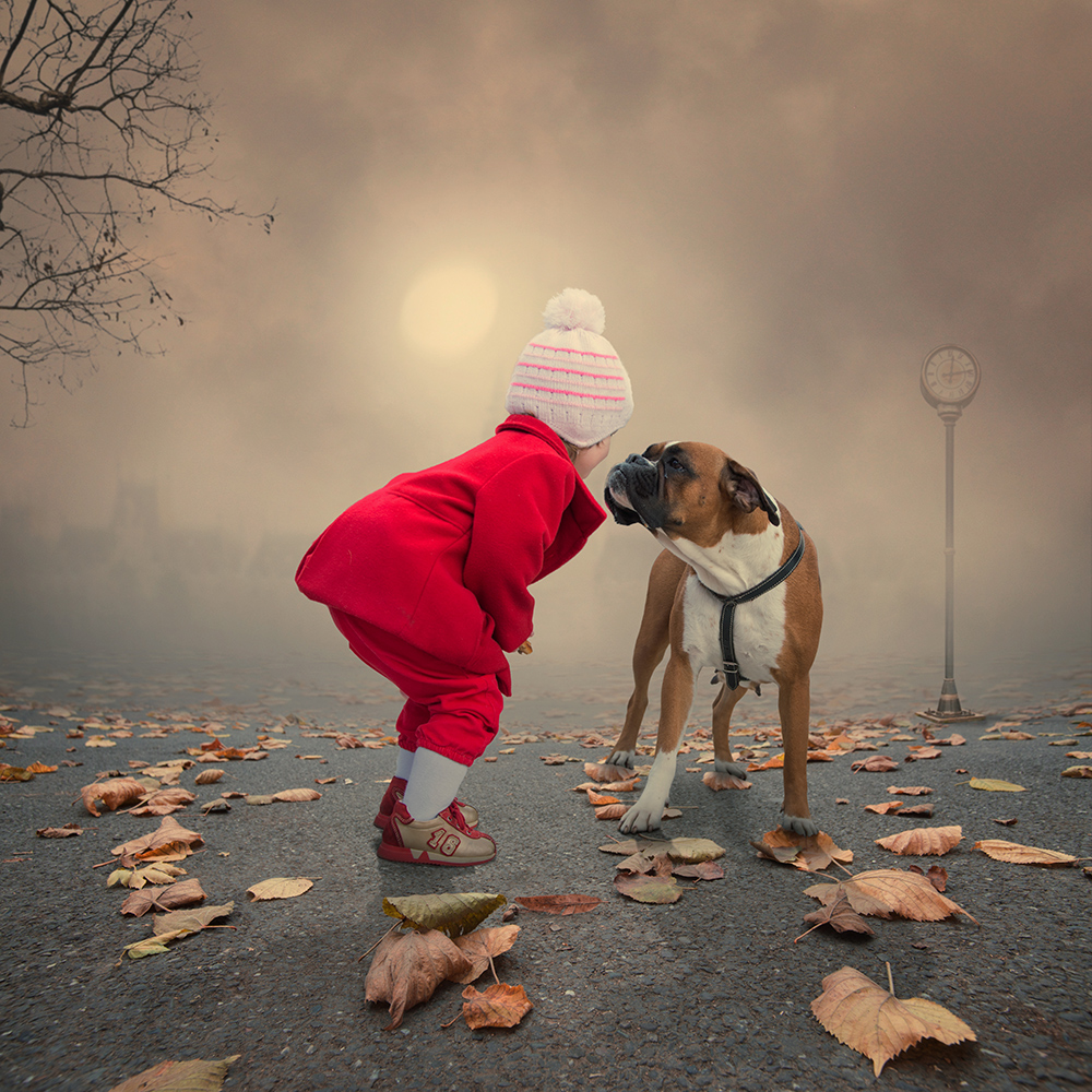 Фото Девочка в белой шапочке и красном пальто, стоящая на дорожке. покрытой осенними листьями, смотрит в глаза стоящей рядом собаке породы боксер на фоне неба, затянутого туманной дымкой, фотограф Caras Iount