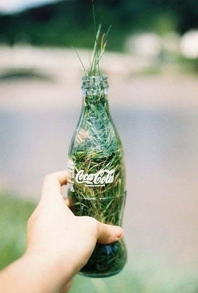 Фото Рука держит бутылка Кока Колы / Coca Cola заполненной зеленой травой