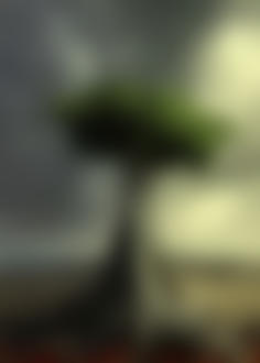 Фото Девушка-дерево с зеленой кроной и большими корнями, фотохудожница Барбара Флорчик / Barbara Florczyk