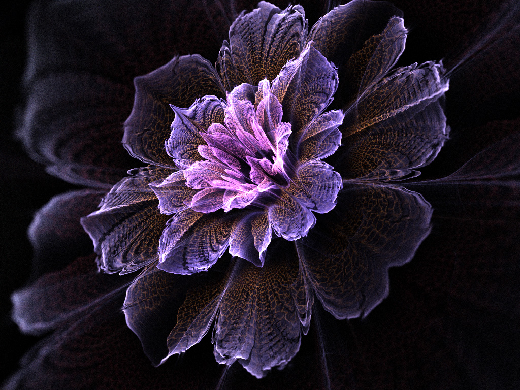 Цветы на черном фоне для фотошопа