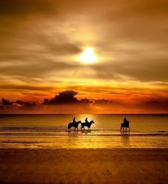 Фото Три человека, верхом на лошадях, идут по берегу моря на фоне оранжевого заката