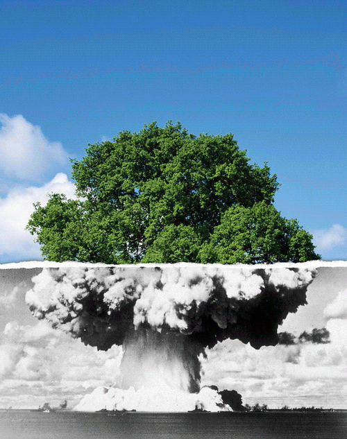 Фото Ядерный гриб от взрыва переходящий в пышную крону дерева