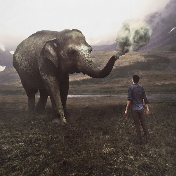 Фото Слон выдыхает из своего хобота дым перед мужчиной, фотограф Мориц Ауст / Moritz Aust