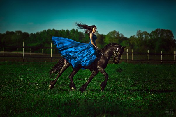 Фото Девушка в синем платье скачет на черном коне, фотограф Светлана Беляева / Svetlana Belyaeva