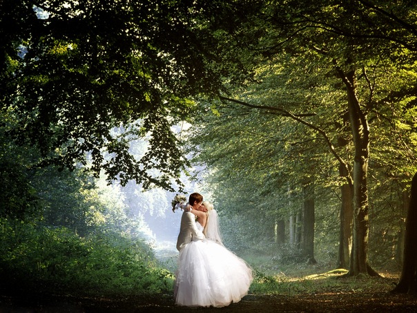 Фото Жених с невестой целуются в лесу