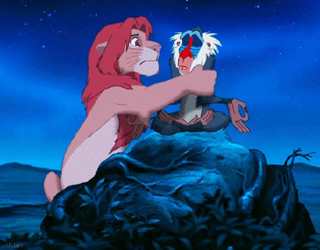 lion king rafiki meditating