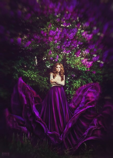 Фото Девушка в фиолетовой юбке стоит на фоне дерева сирени, фотограф Светлана Беляева / Svetlana Belyaeva