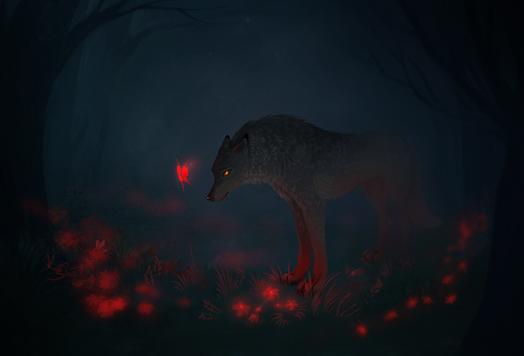 Фото Волк смотрит на красную бабочку, стоя посреди мрачного леса, художник hotarubikyoshi