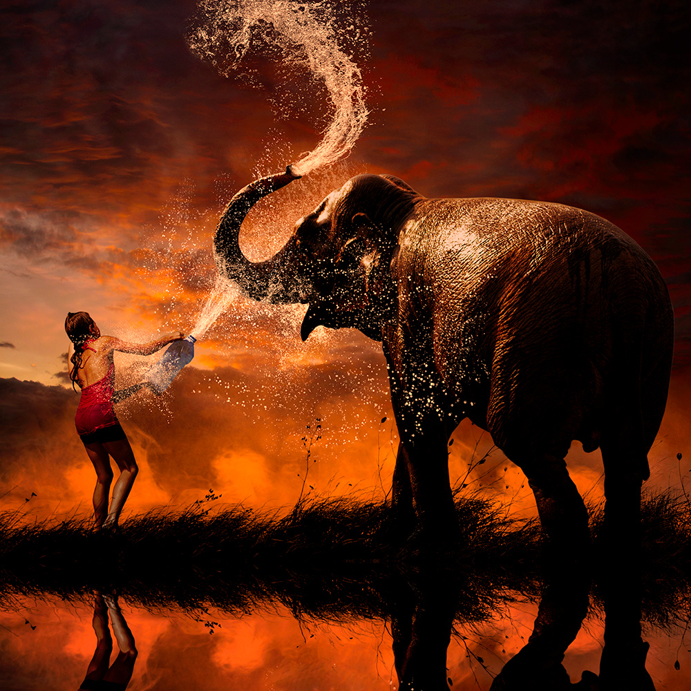 Фото Девочка, стоящая на берегу водоема, обливает из пластиковой бутылки слона, слон, зачерпнув своим хоботом воду, также обливает сам себя на фоне багряного заката, фотография Garas lonut