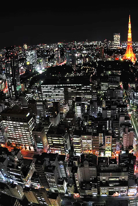 Фото Вид на ночной Tokyo, Japan / Токио, Япония
