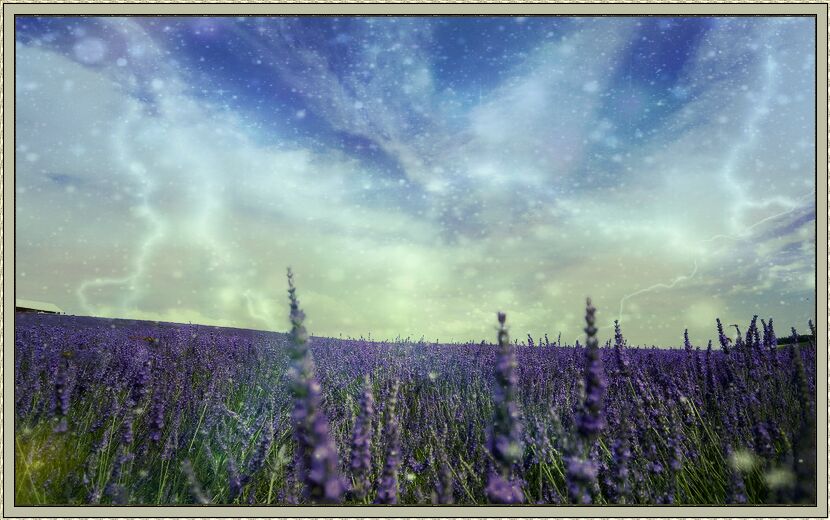 Фото Молнии над поляной фиолетовых цветов