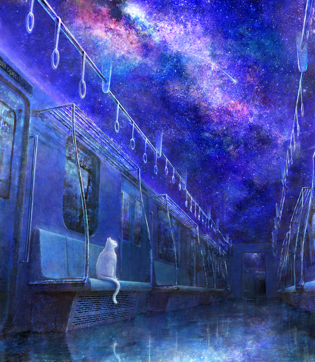 Фото Белая кошка сидит в поезде и смотрит на звезды