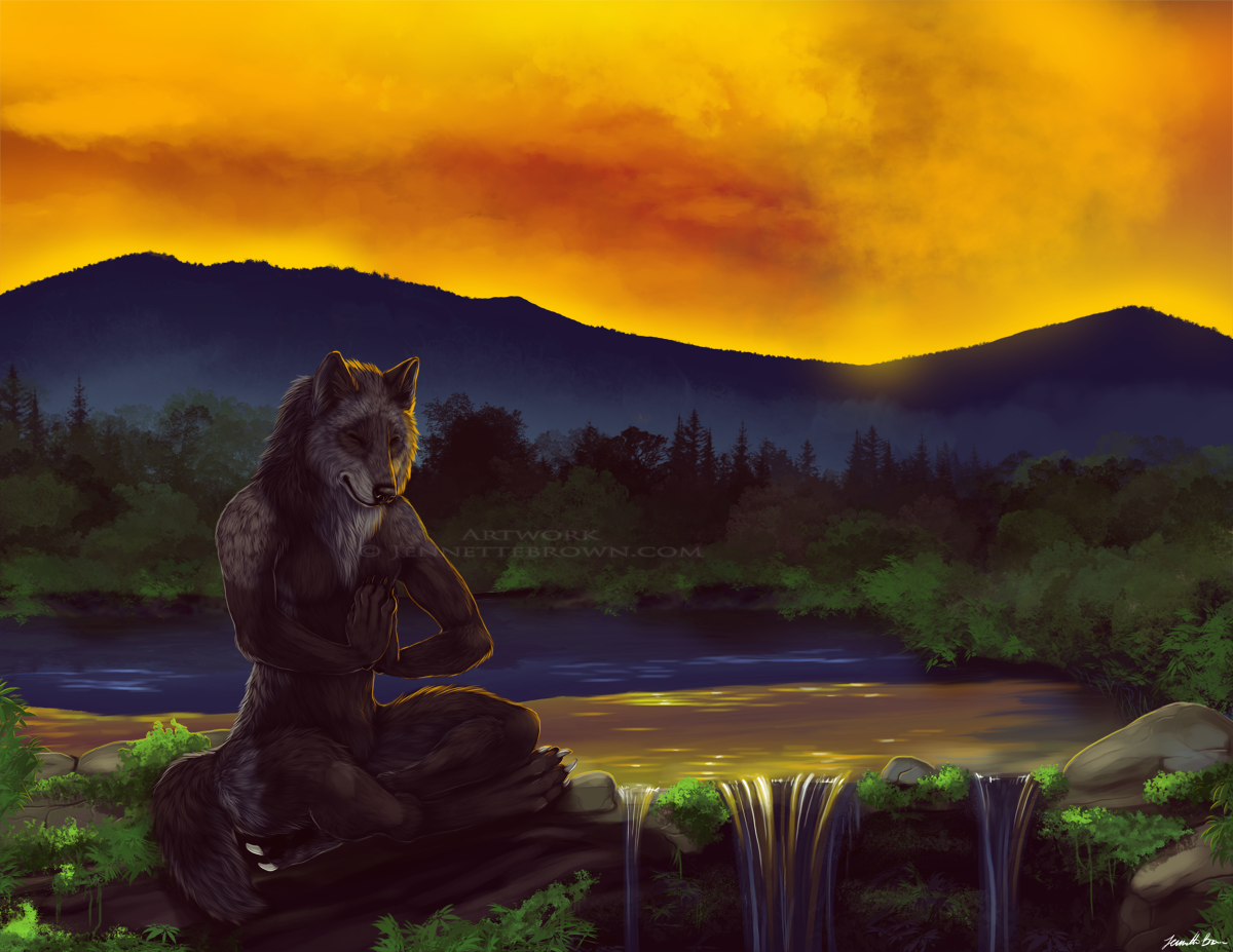 Волк в медитации
