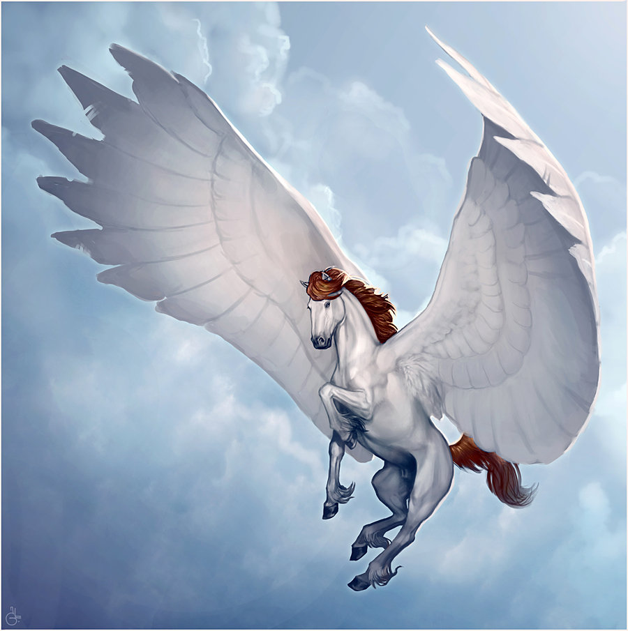Наездник пегаса сканворд. Белая лошадь с крыльями. Конь с крыльями. Летающий конь. Летающая лошадь.