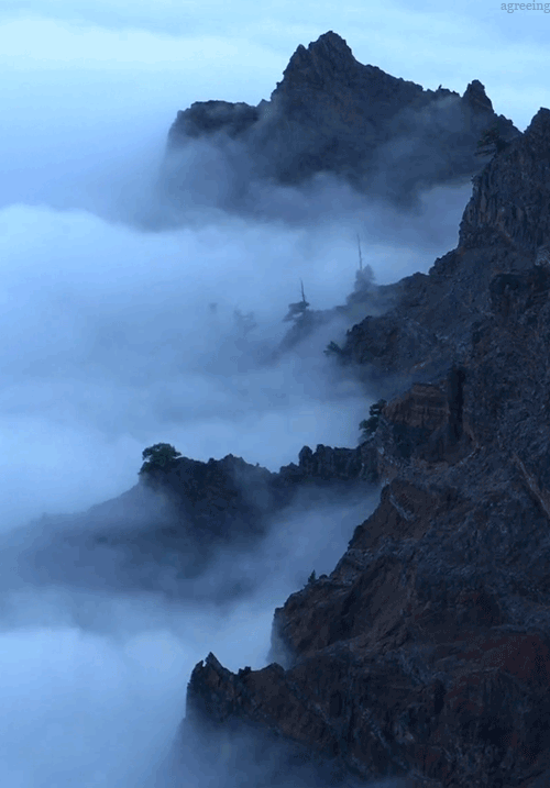 Фото Туман в горах