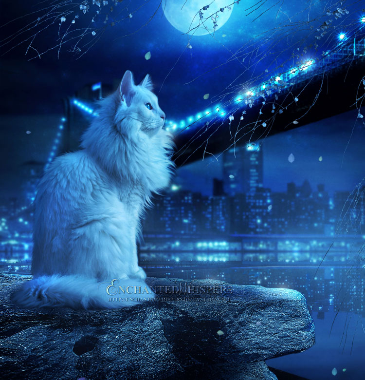 Фото Белый кот сидит на камне и смотрит на ночной New York / Нью - Йорк и Verrazano - Narrows Bridge / мост Верразано - Нэрроуз, художник Enchanted Whispers
