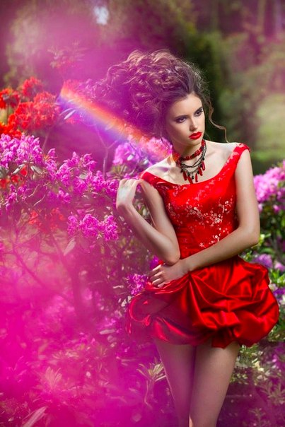 Фото Девушка в красном платье на фоне кустов розовых роз, фотограф Yaroslavna Nozdrina / Ярославна Ноздрина