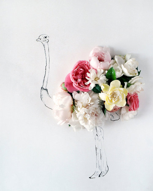 Фото Рисунок страуса, вместо тела - цветы