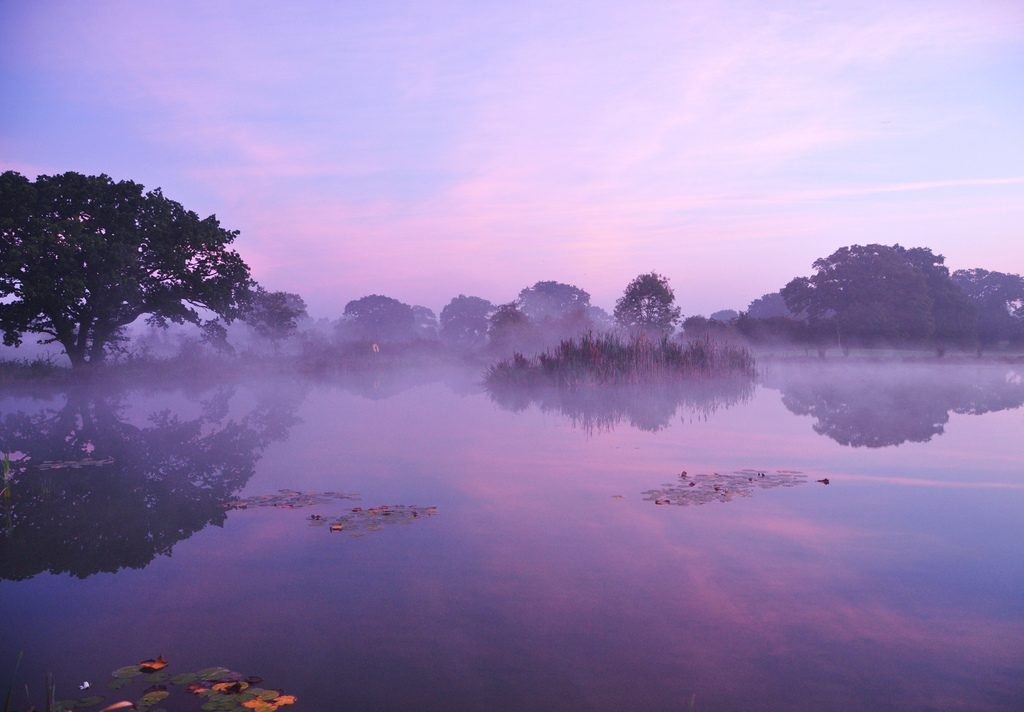Фото Розовое небо на рассвете отражается в реке, покрытой туманом