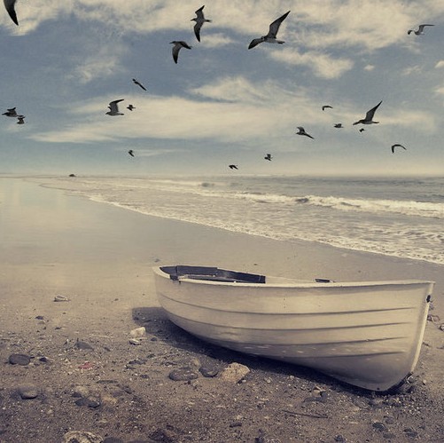 Фото Лодка стоит на берегу моря, в небе летают чайки