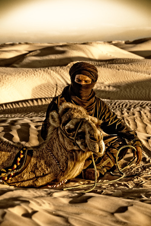 Фото Мужчина - араб сидит в пустыне рядом с верблюдом