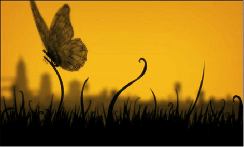 Фото Порхающая бабочка сидит на стебле, вдали виден город