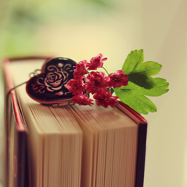 Фото Ветка мелких красных цветов и сердце, лежат на книге