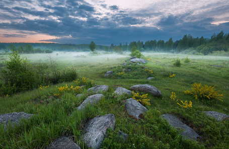 Акватекс утренний туман фото