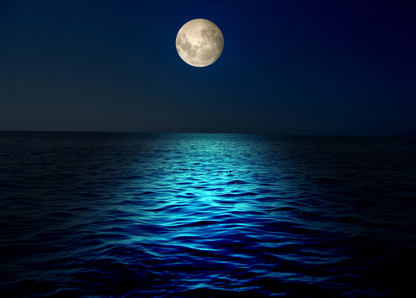 Какое количество света отражает Луна?