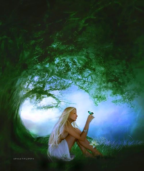Фото Девушка с бабочкой на руке сидит под деревом, автор Fhatpuppy
