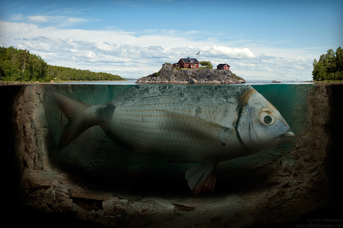 Фото Рыба в воде, а сверху нее остров с домами, работа fishy island / рыбий остров от alltelleringet