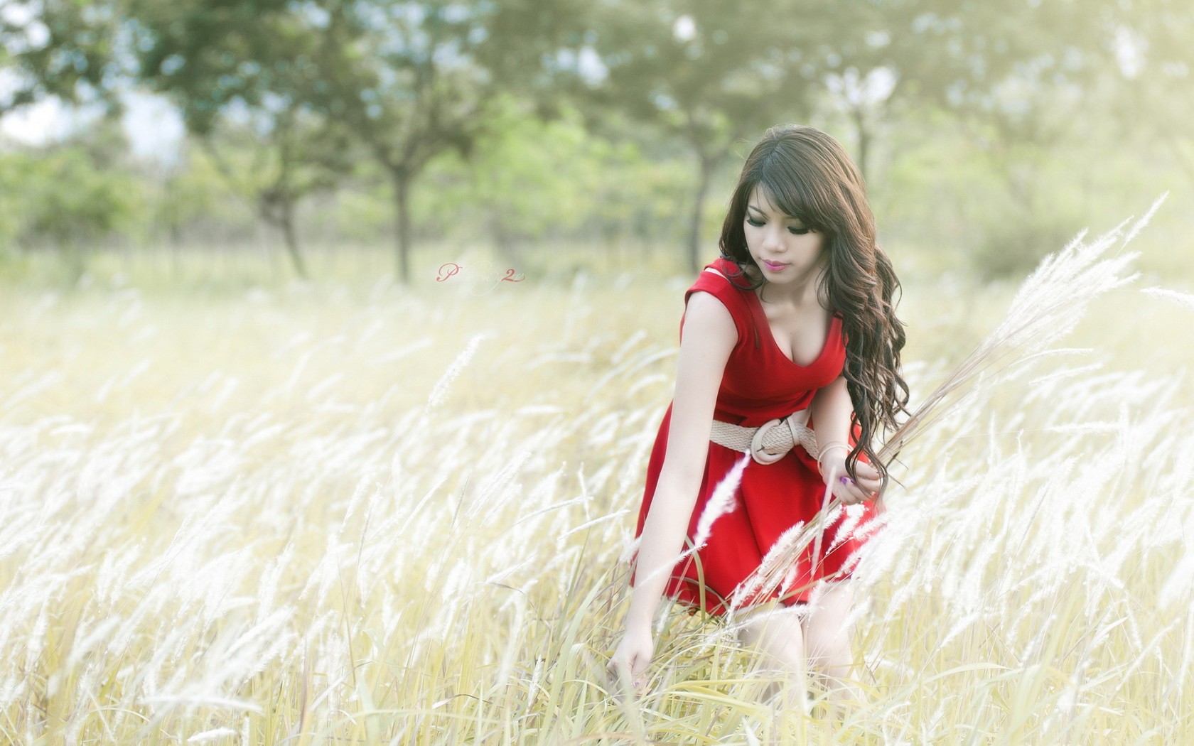 Девушка в Красном платье на природе
