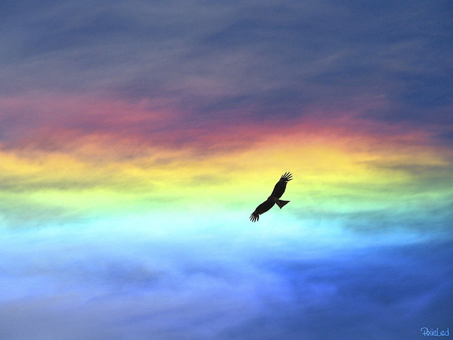 Фото Орел парит в небе радужного цвета
