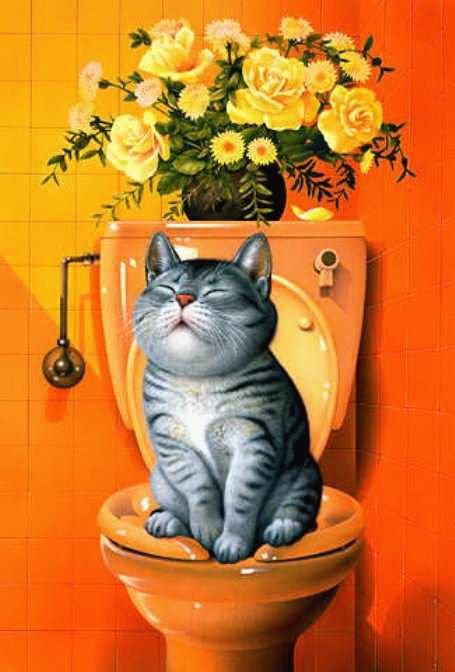 Котик в туалете - 55 фото