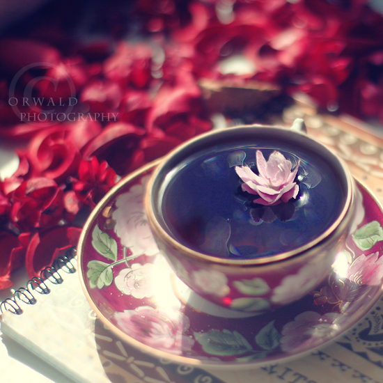 Фото Чашка с чаем и цветком в ней на блюдце, которое стоит на блокноте