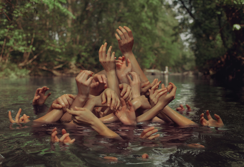 Фото В лесу из воды тянется множество рук