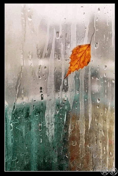 Фото Осенний листок на окне с каплями дождя