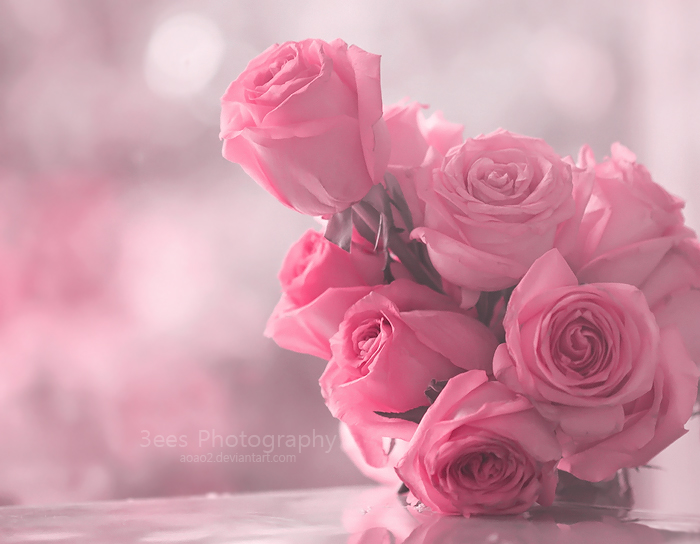 Фото Букет из розовых роз, фотограф Essa Al Mazrooei
