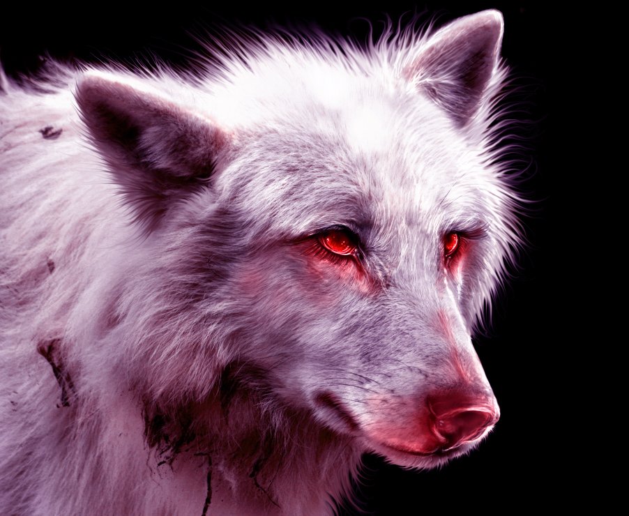 Фото Белый волк с испачканной кровью шерстью