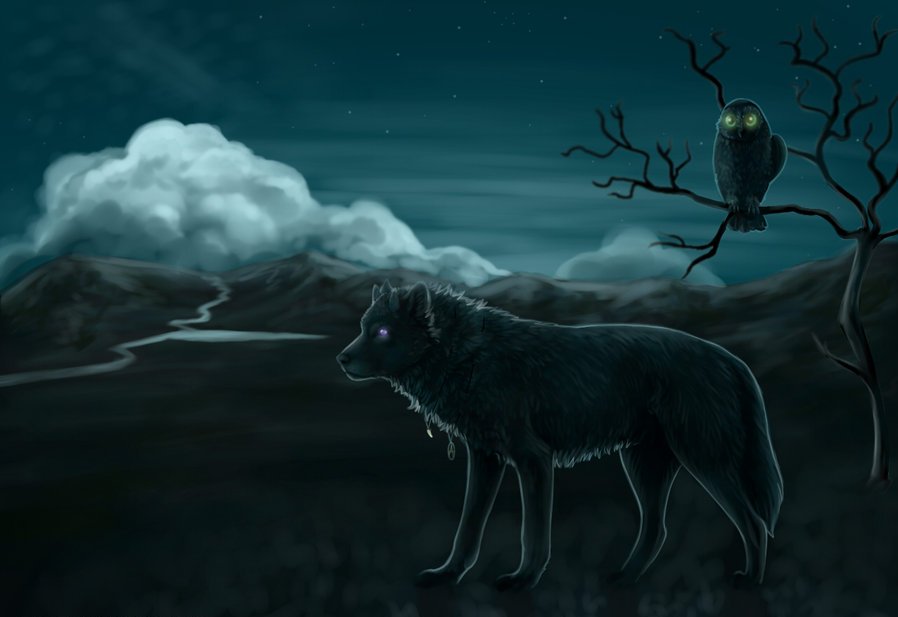 Фото Волк на фоне гор, рядом на дереве сидит сова