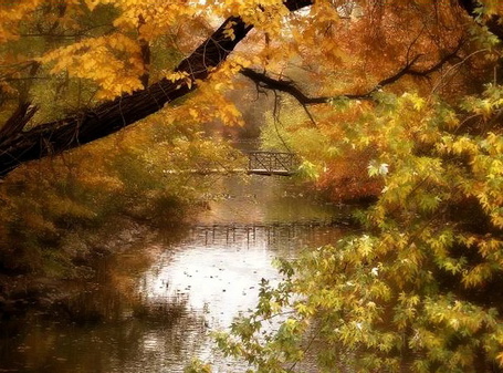 Фото За листвой осенних деревьев виден мост через пруд, художница Jessica Jenney