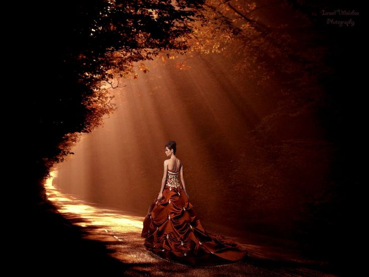 Фото Девушка в длинном платье идет по дорожке, по обе стороны которой растут осенние деревья и на нее падают лучи света