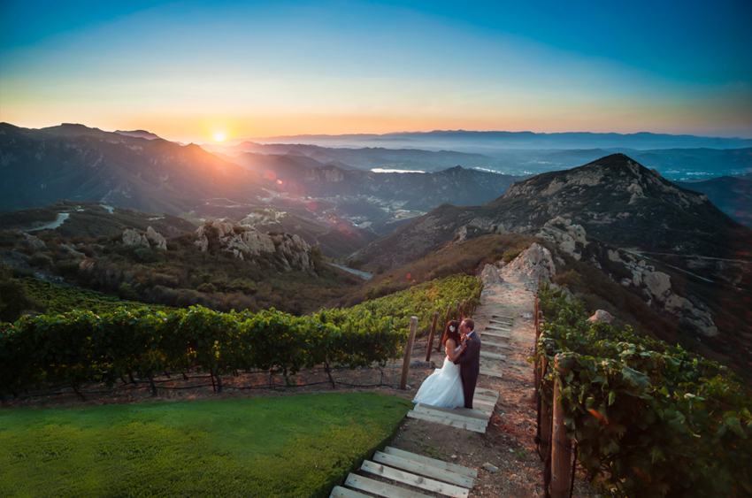 Фото Жених и невеста стоят на ступеньках на склоне горы, покрытой виноградниками